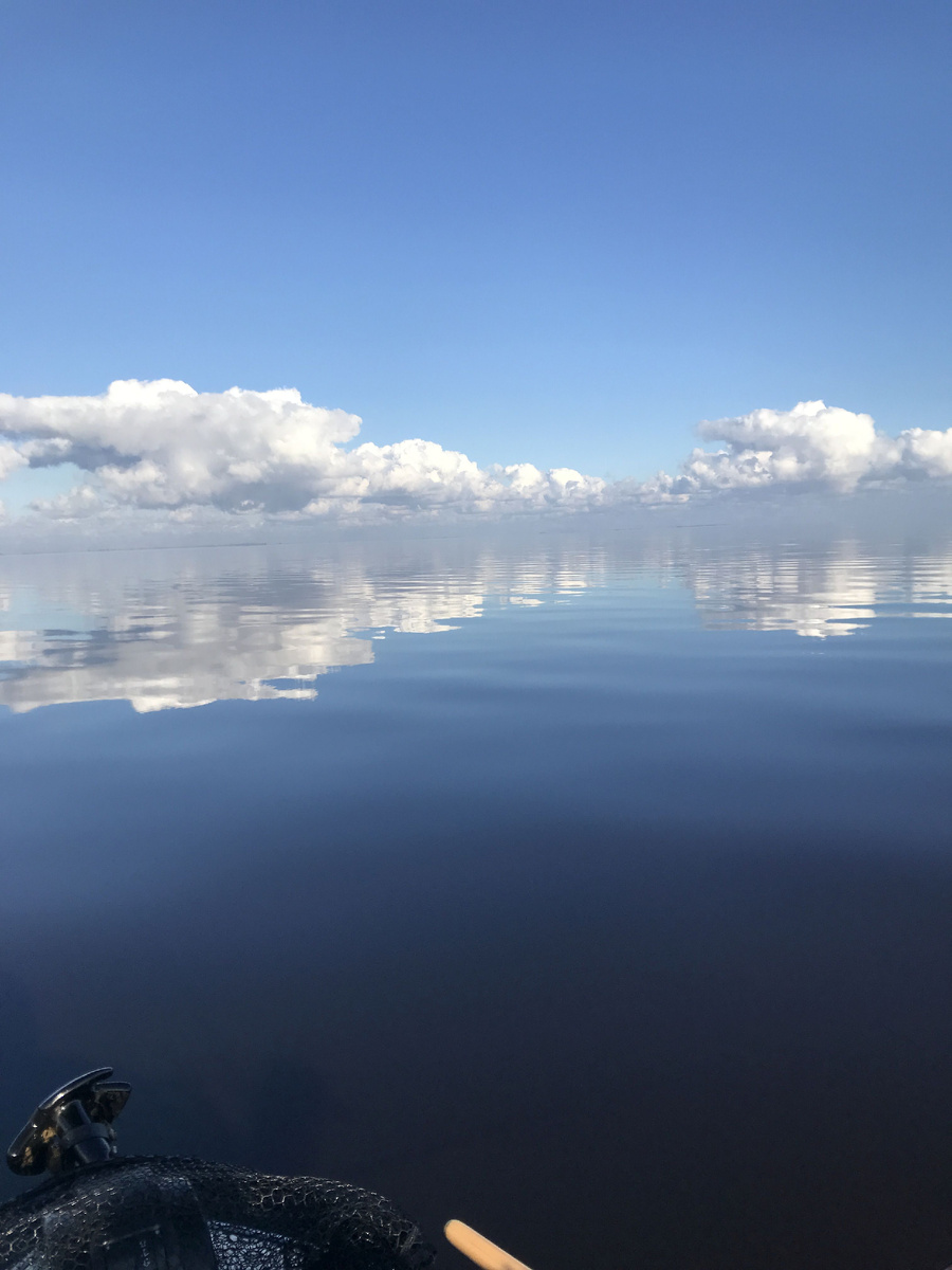 Новгородская область озеро Ильмень.