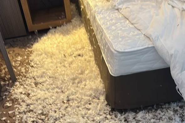     Соцсети Сергея Пенкина