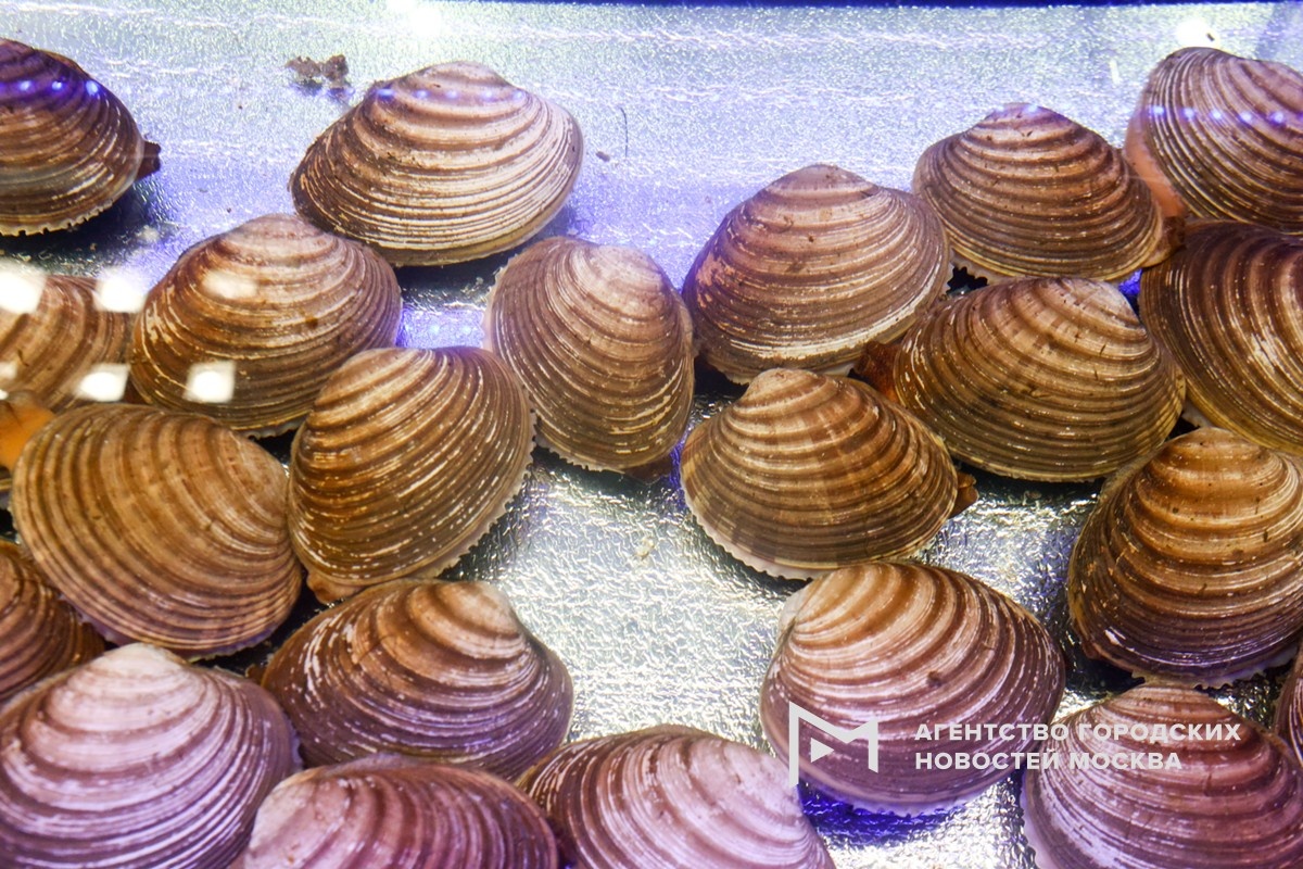 Фотограф: Ярослав Чингаев