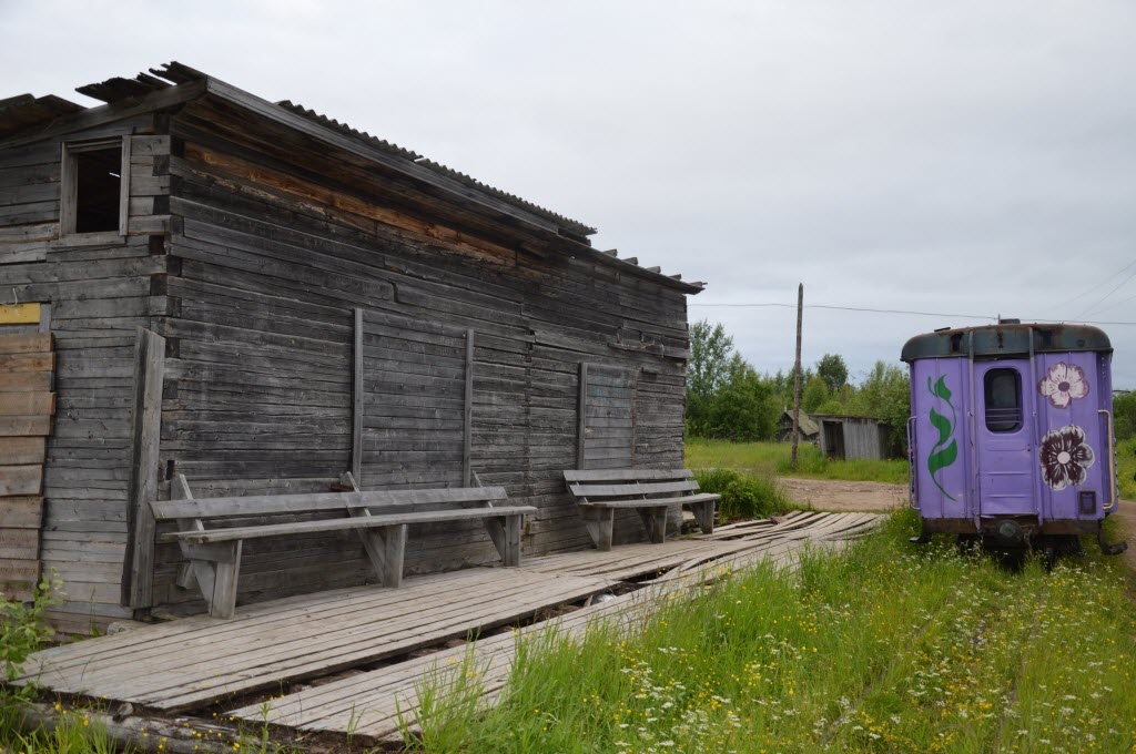 Авнюгская УЖД// Заповедные железные дороги 