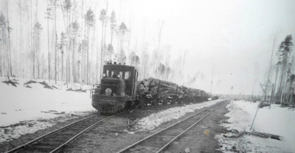 Тепловоз ТУ2Мк с лесовозным составом, фото В. Малкова