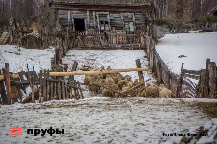    Фото: Пруфы