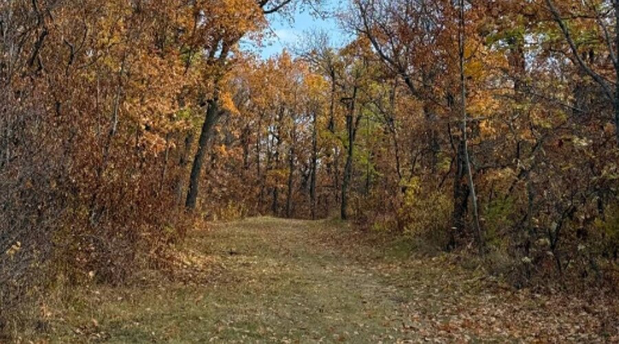    Фото: G﻿obalakovo