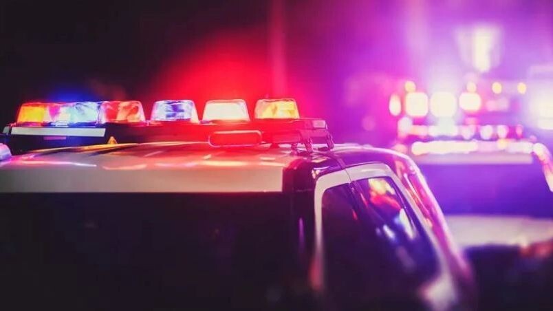    Фото: PCVR-118530/Shutterstock/Fotodom