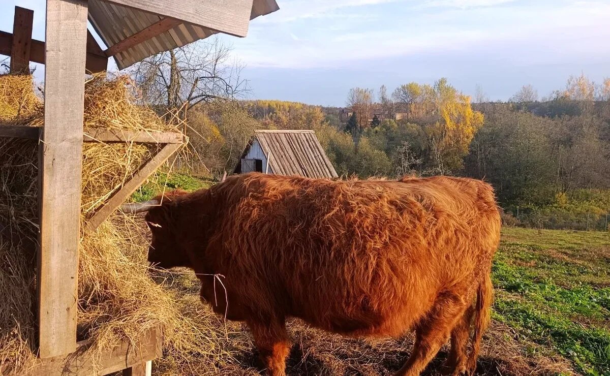    Минсельхоз и АТОР объединились для развития сельского туризма