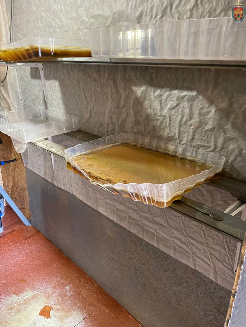    Силовики накрыли нарколабораторию в КарелииУФСБ Карелии