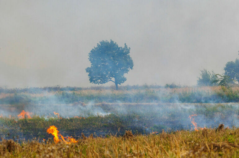   Тимур Ханов/«Парламентская газета»