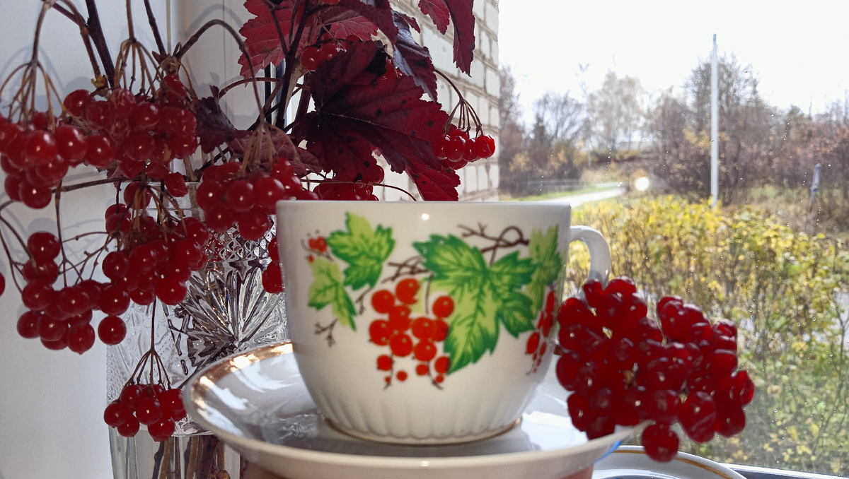 Ягодное великолепие винтажного фарфора. Фото автора