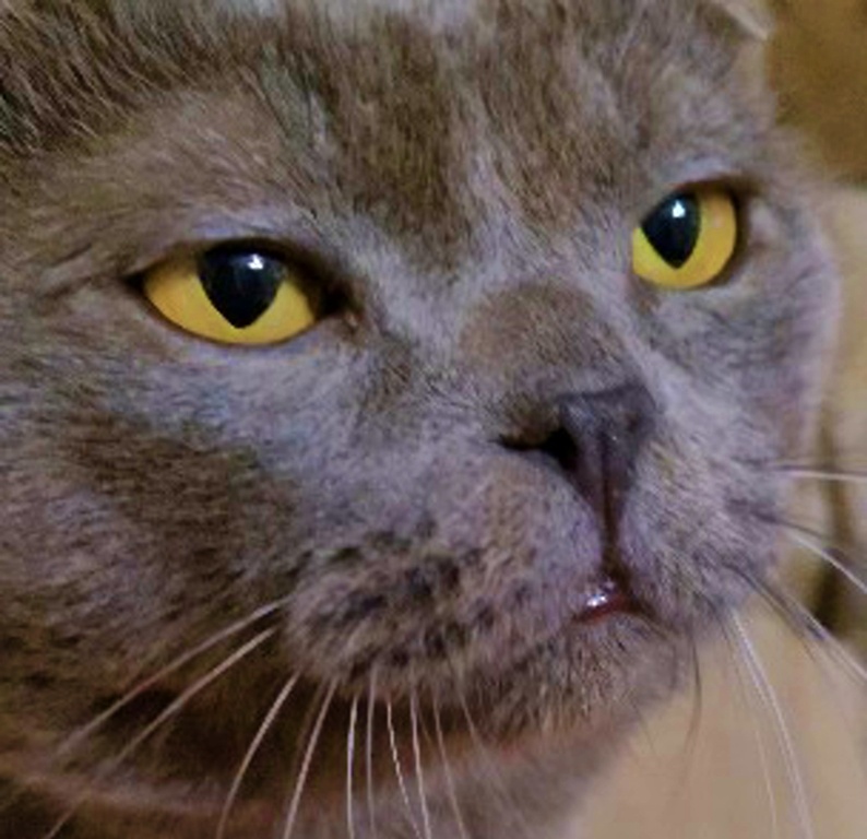 Любимая мордашка)))