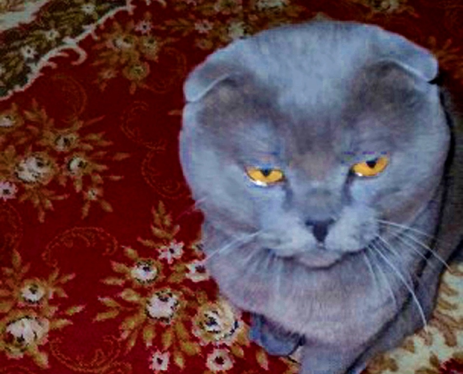 Нордический взгляд