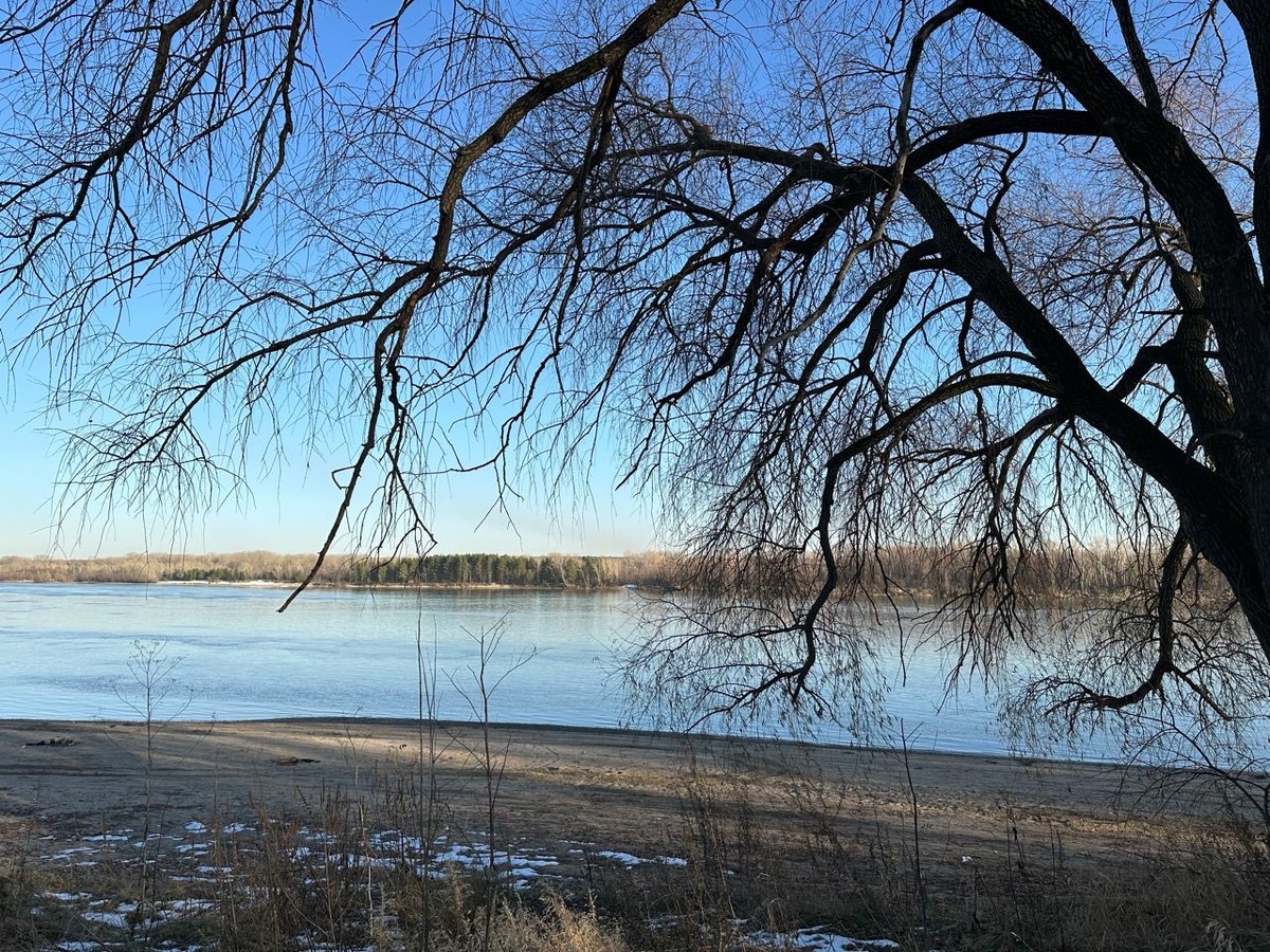Готовится засыпать Обинушка. 