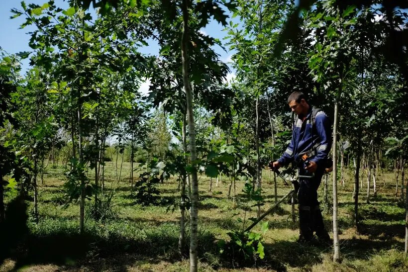     © РИА Новости. Николай Хижняк