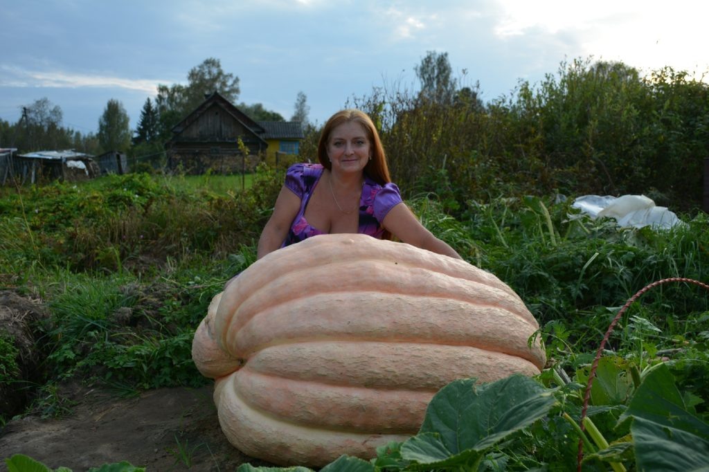 Юлия и тыква Дуняша. Фото из архива Юлии Богдановой