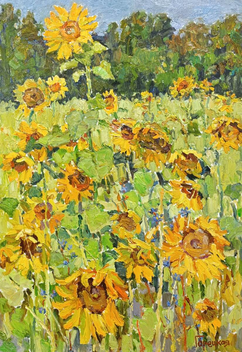 Полина Горецкая «Поле подсолнухов, освещённое солнцем» 2025 картон, масло 100х70