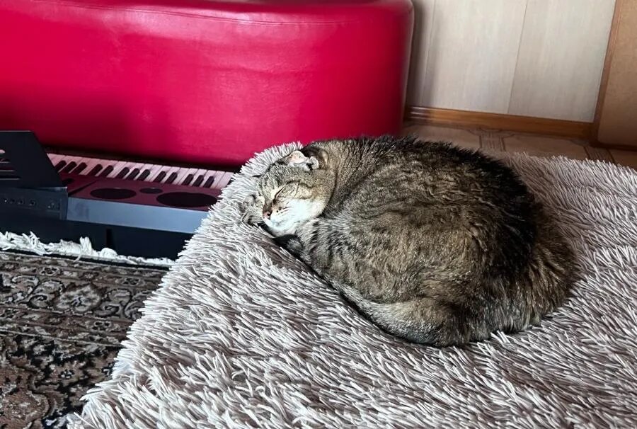 ФОТО Полины АКИМОВОЙ