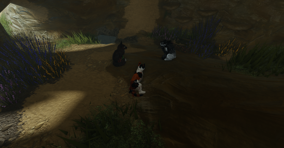 Тест на целителя в ПВ