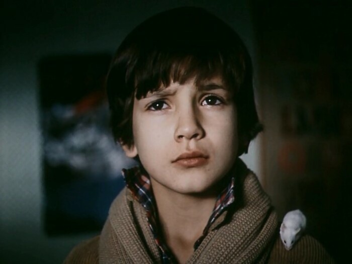 Егор Дружинин в фильме «Приключения Петрова и Васечкина, обыкновенные и невероятные».
