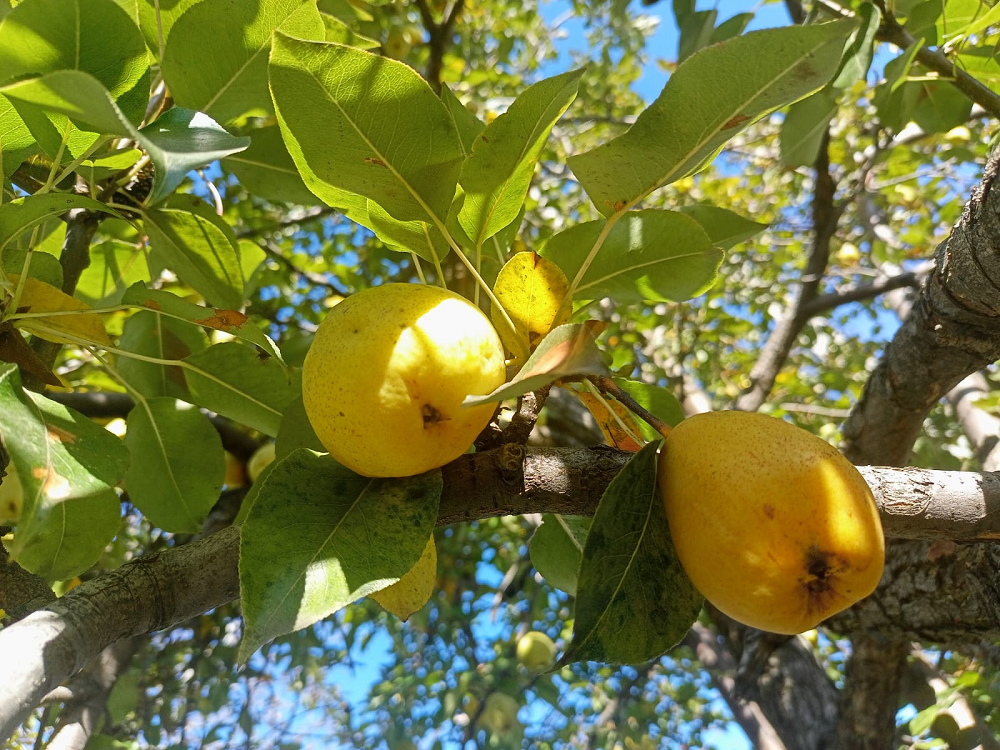    Фото редакции Марина Ецкова