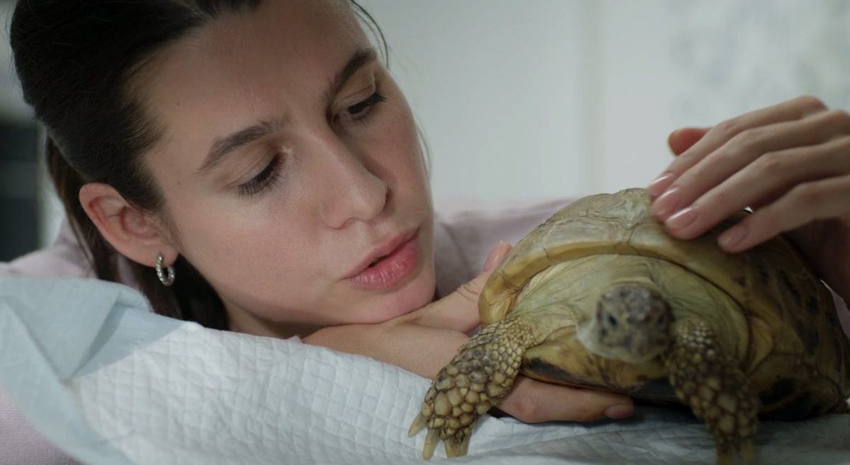 Кадр из сериала "Мои звери" (2025)