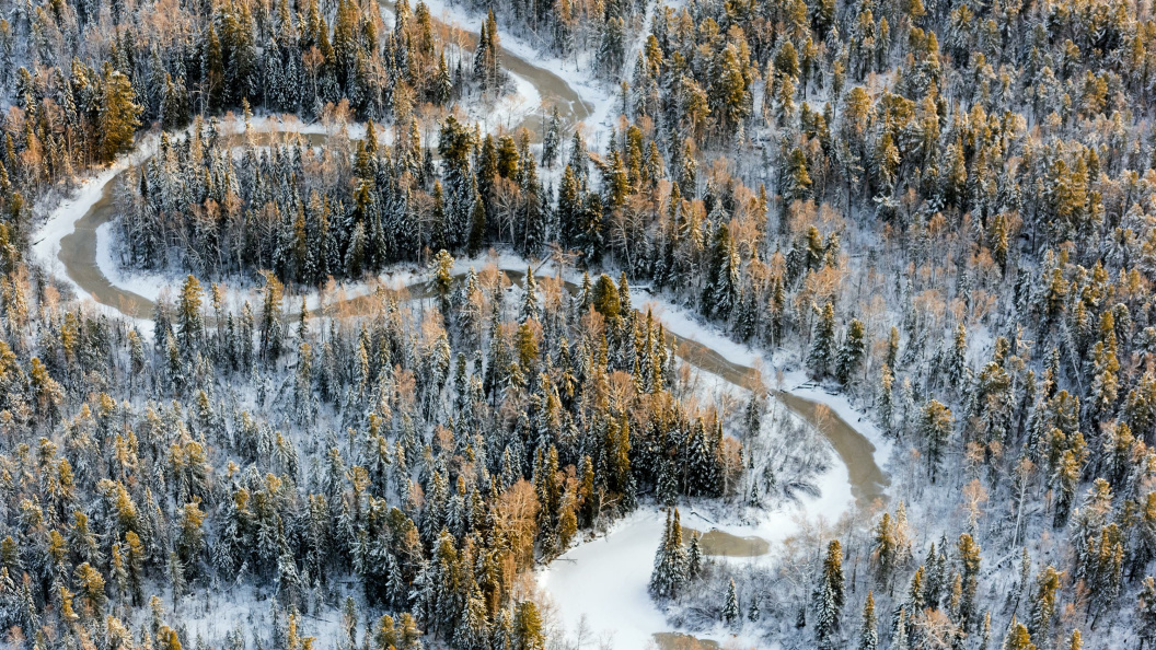    Фото: Serguei Fomine /Globallookpress