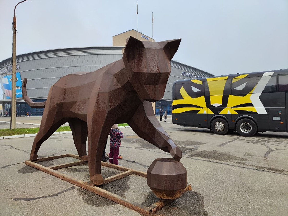 Фото локация у Ледового дворца в нашем городе 