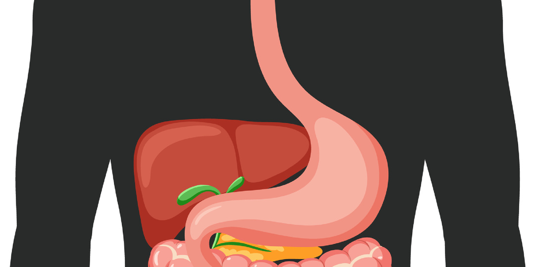 Вы устали без причины? Ваш кишечник просто “горит” изнутри