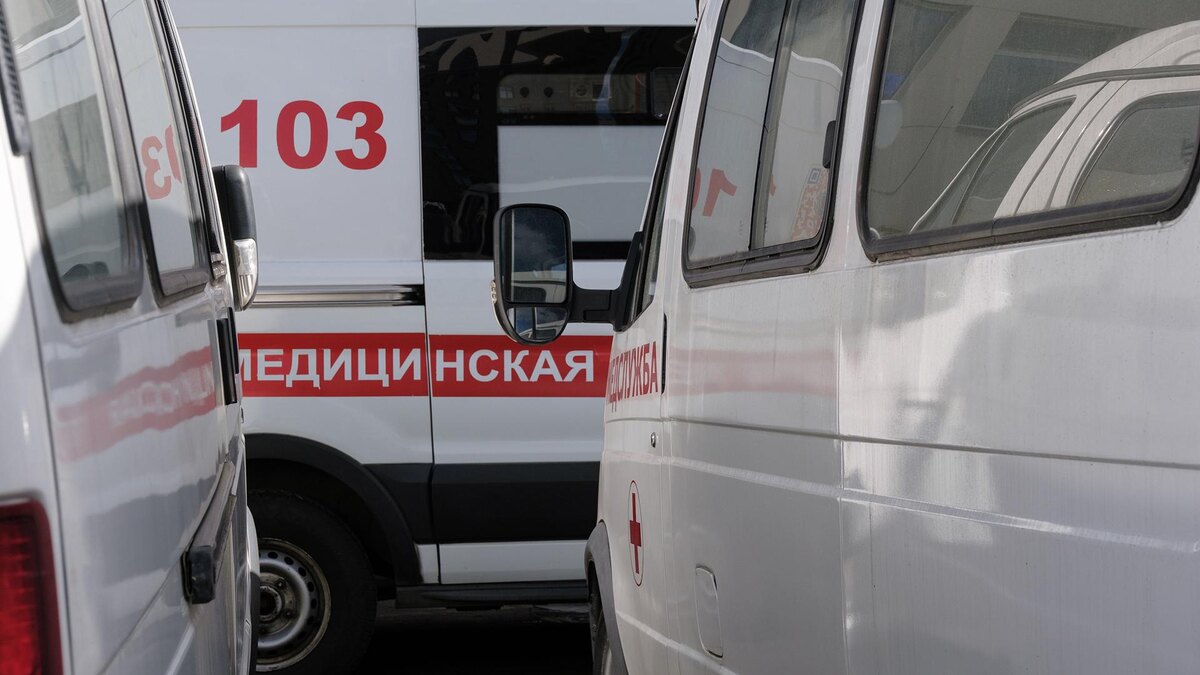    Фото: ИЗВЕСТИЯ/Сергей Виноградов