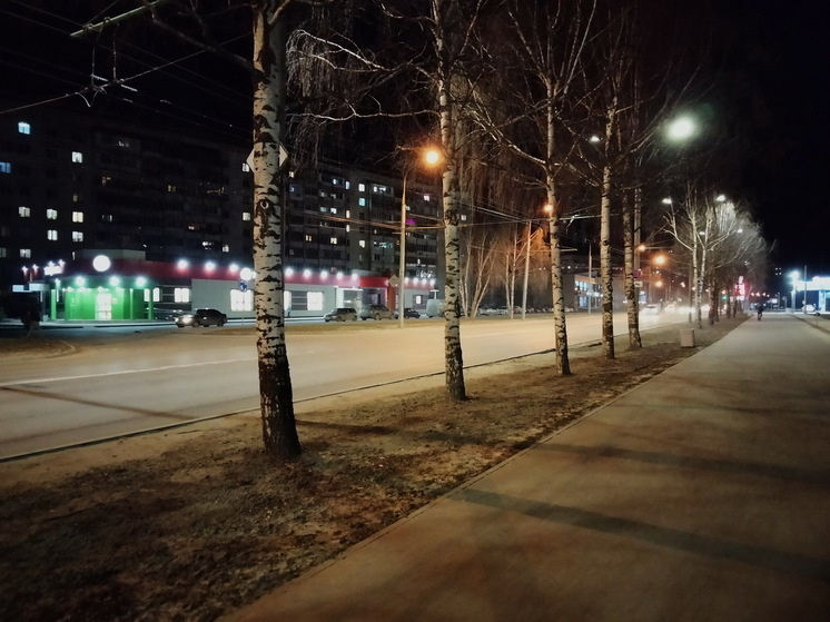   Анастасия Петрова