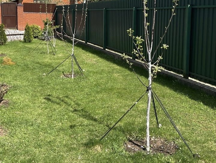 Фото подписчицы Дачного агронома
