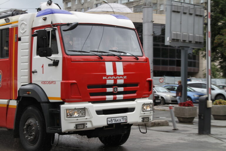    Фото: 54.mchs.gov.ru Илья Федоров