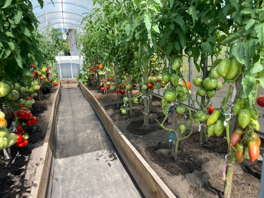 Фото: Борис Сонин