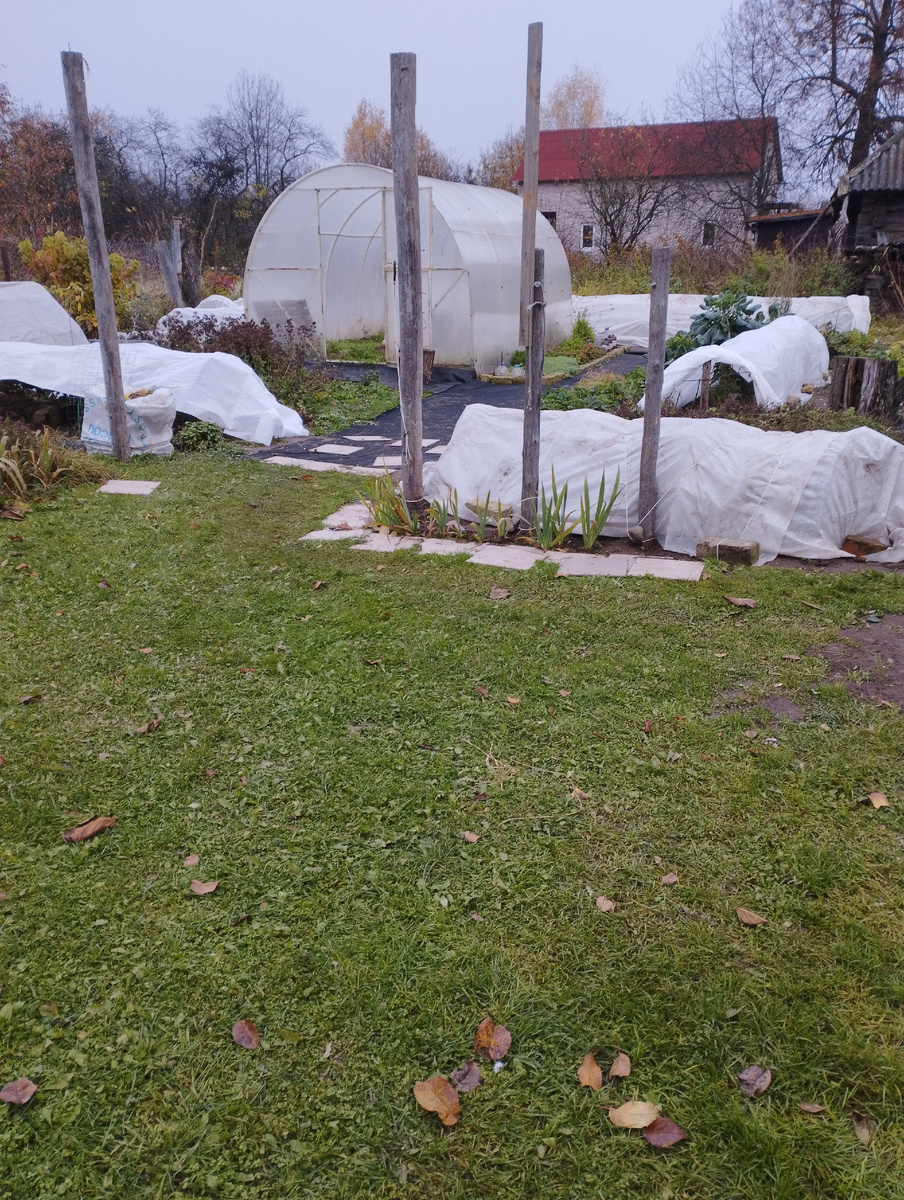 Осень 2025 год.Миссия выполнима!