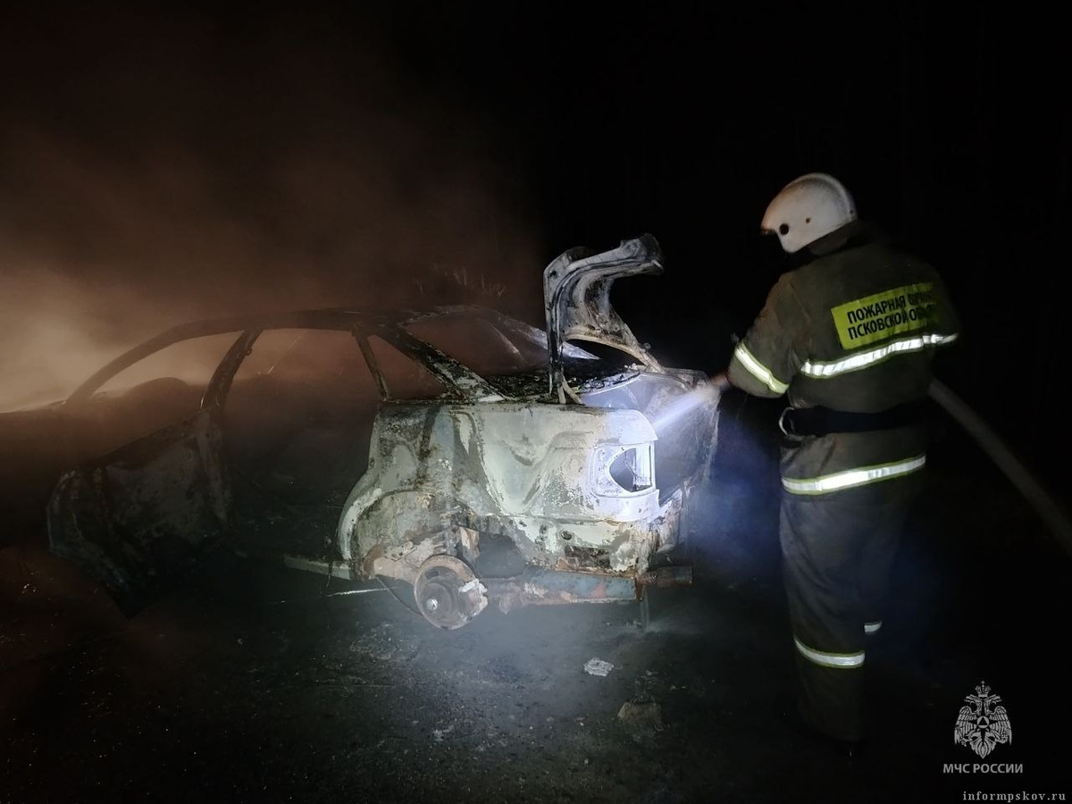 Фото: пресс-служба ГУ МЧС России по Псковской области
