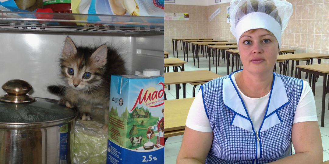 «15 лет работаю поваром в общепите»: Почему никогда не ем в кафе и вам не советую - честно про кухни, которые вы не видите (горький опыт)