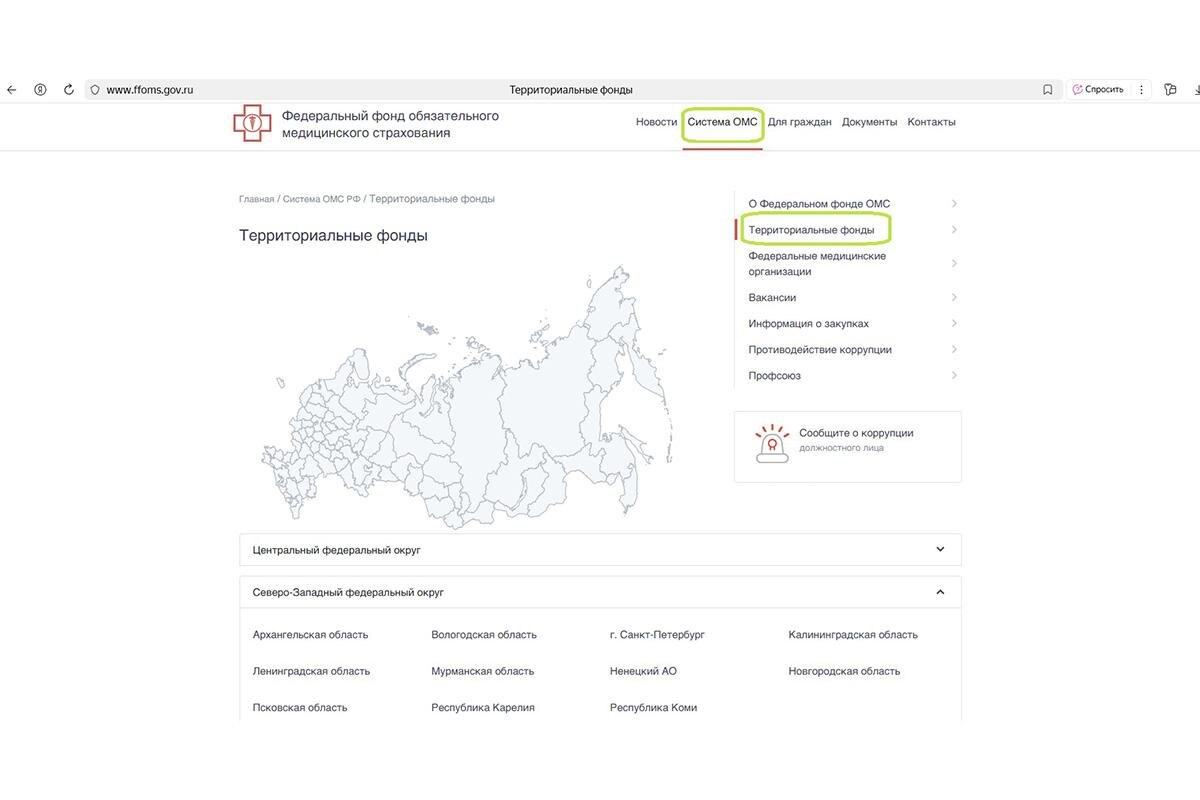 РБК Life📷Как проверить полис ОМС на сайте ТФОМС Санкт-Петербурга