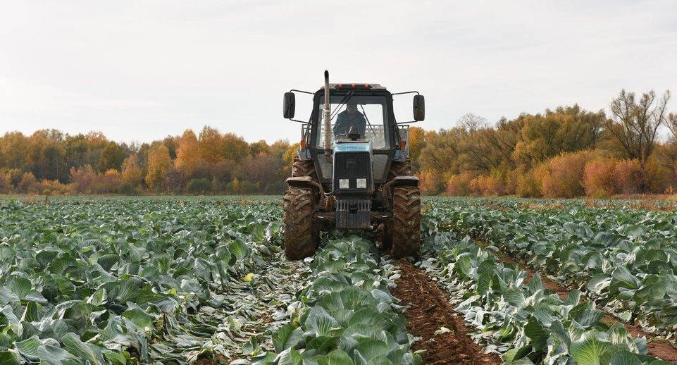    Медиасток.рф