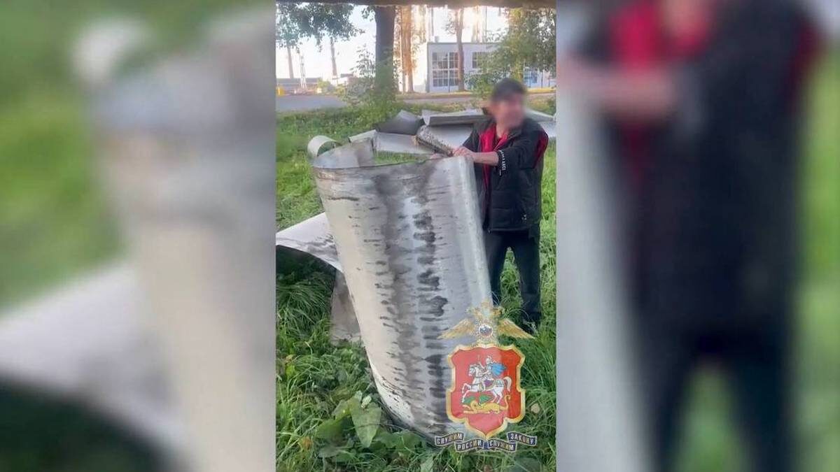    Фото: Скриншот видео / ГУ МВД России по Московской области / Telegram