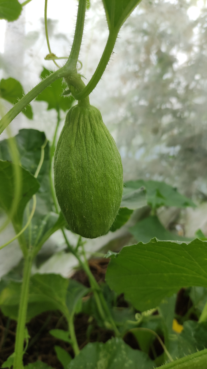 фото 19 июля