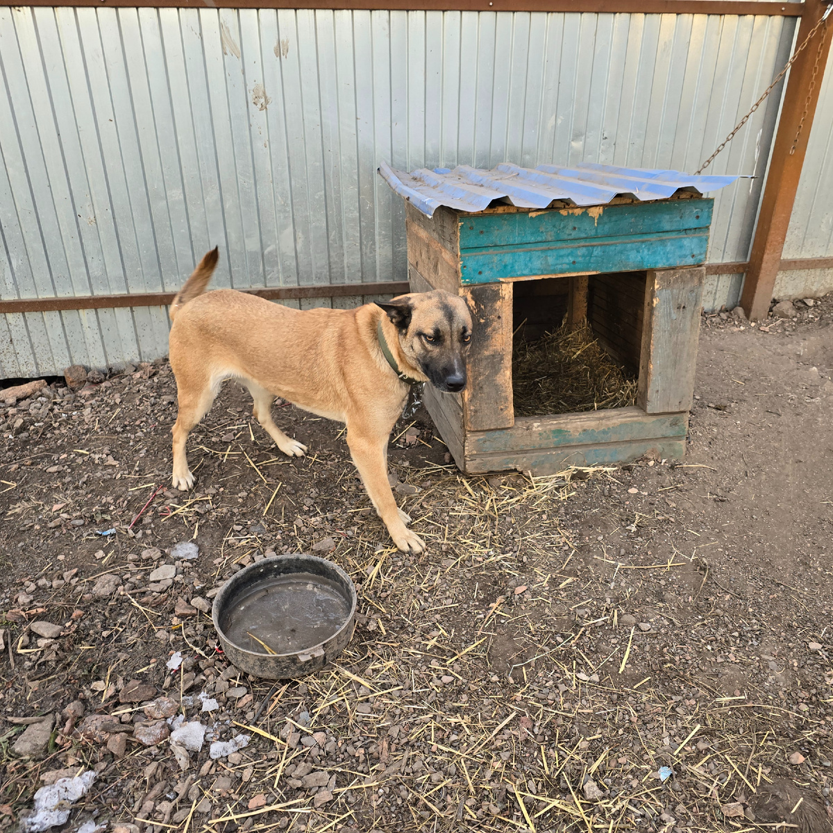 взгляд без надежды на завтра