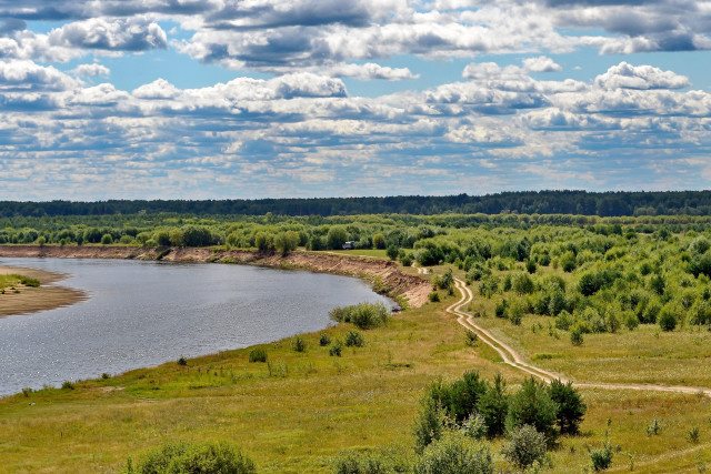 Мир теряет 8 миллионов гектаров леса в год