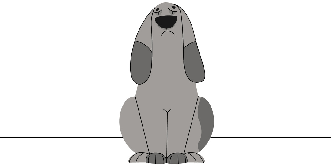 5 ситуаций, когда вы вредите собаке от любви