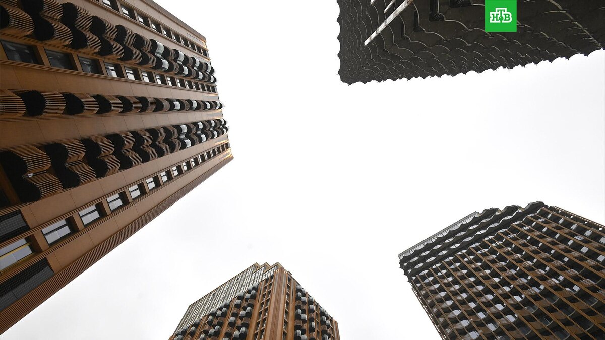    Фото: РИА Новости © 2025, Илья Питалев