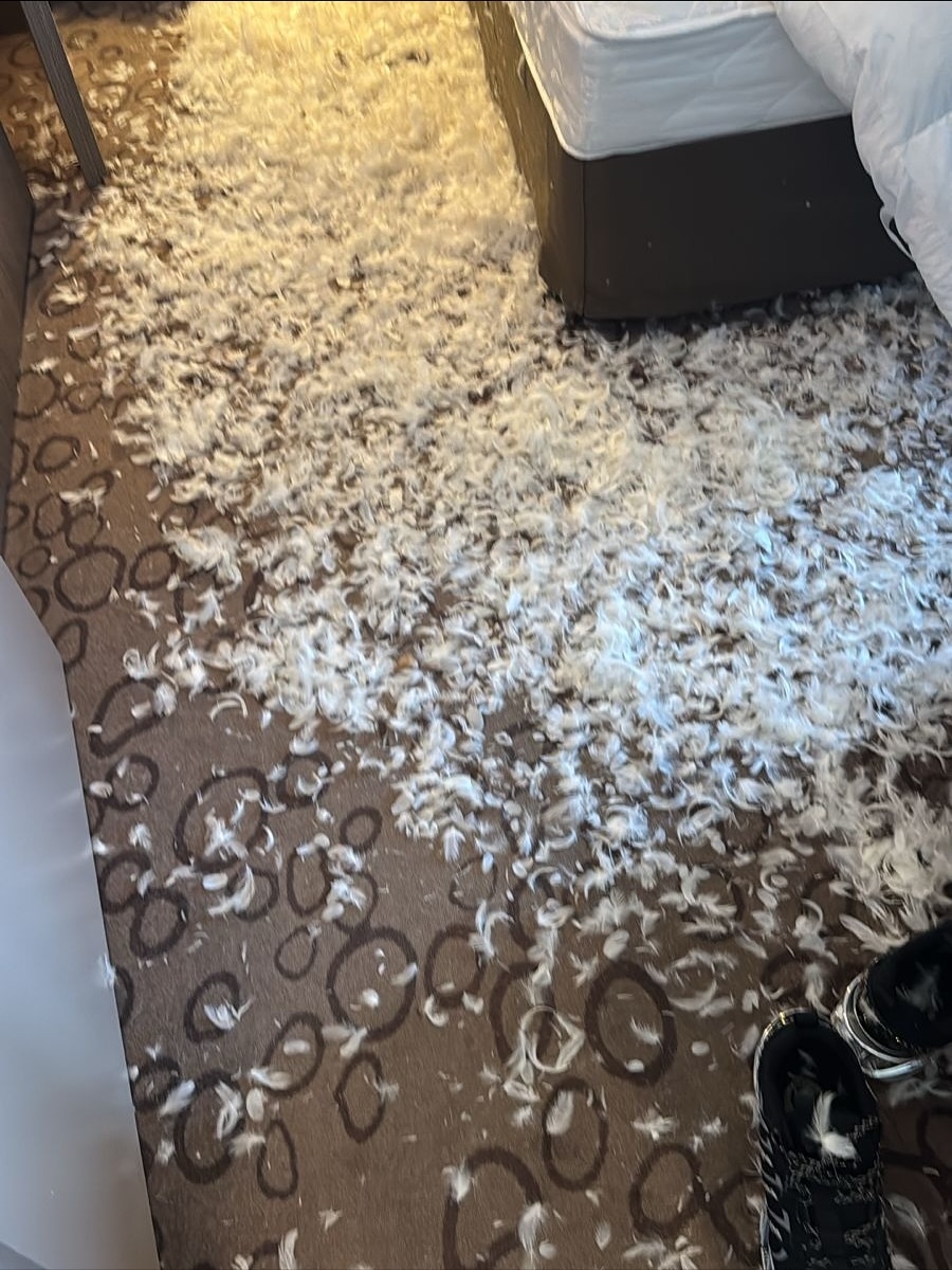 Фото: соцсети/@penkinofficial