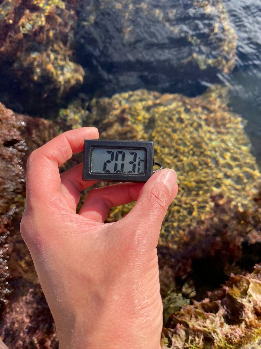 Водица в море. Октябрь 2025