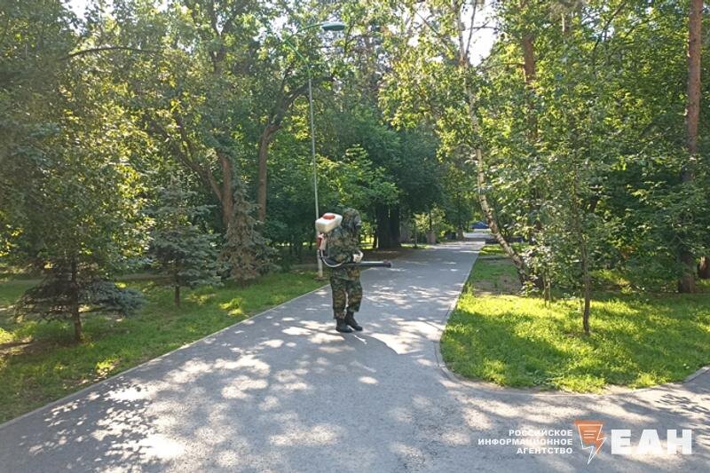    ЕАН. Обработка от клещей