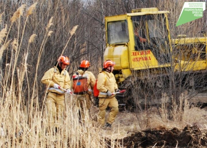    Фото:Пресс-служба министерства лесного хозяйства и лесопереработки Хабаровского края