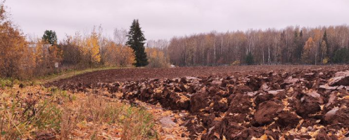 Как восстановить плодородие почвы? Роль ферментов, микрофлоры и «Агрофлорина» в гумусообразовании
