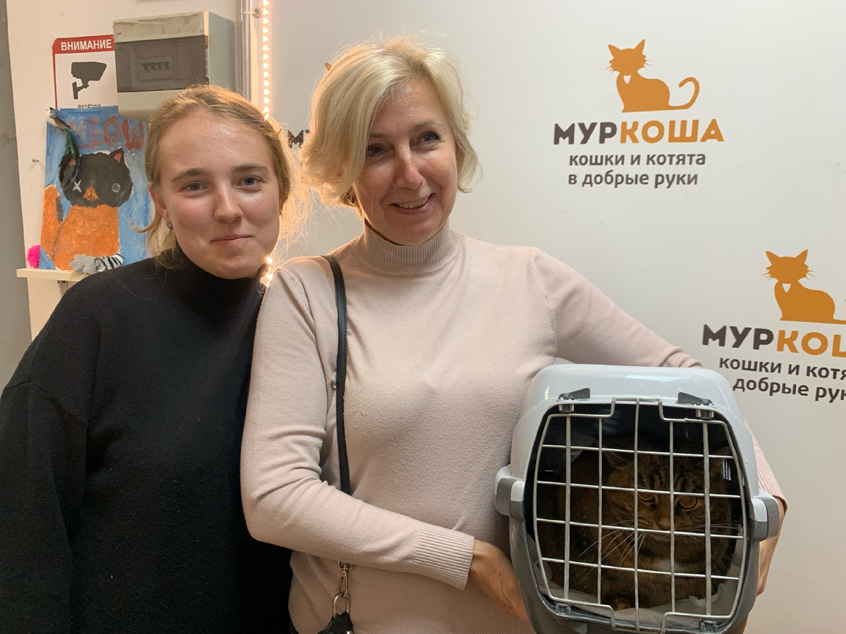 Сарафина становится домашней.