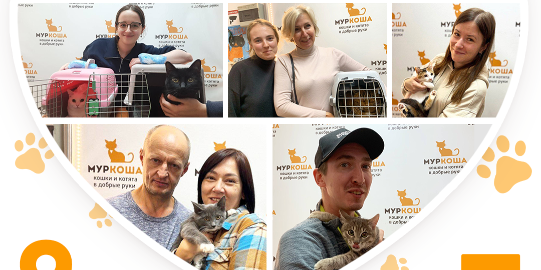 Они верили, что станут домашними и их мечта сбылась