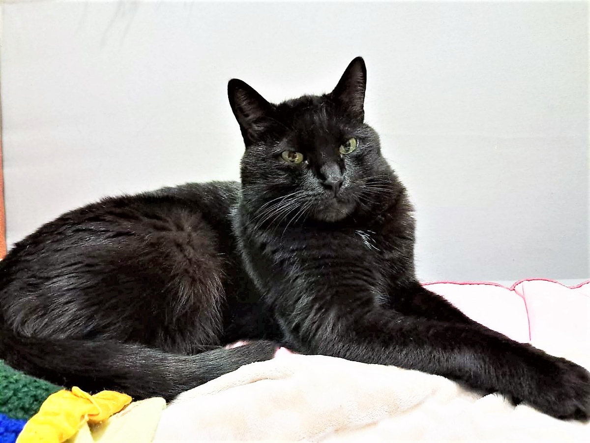 Благодарю за фото МАРИЮ)